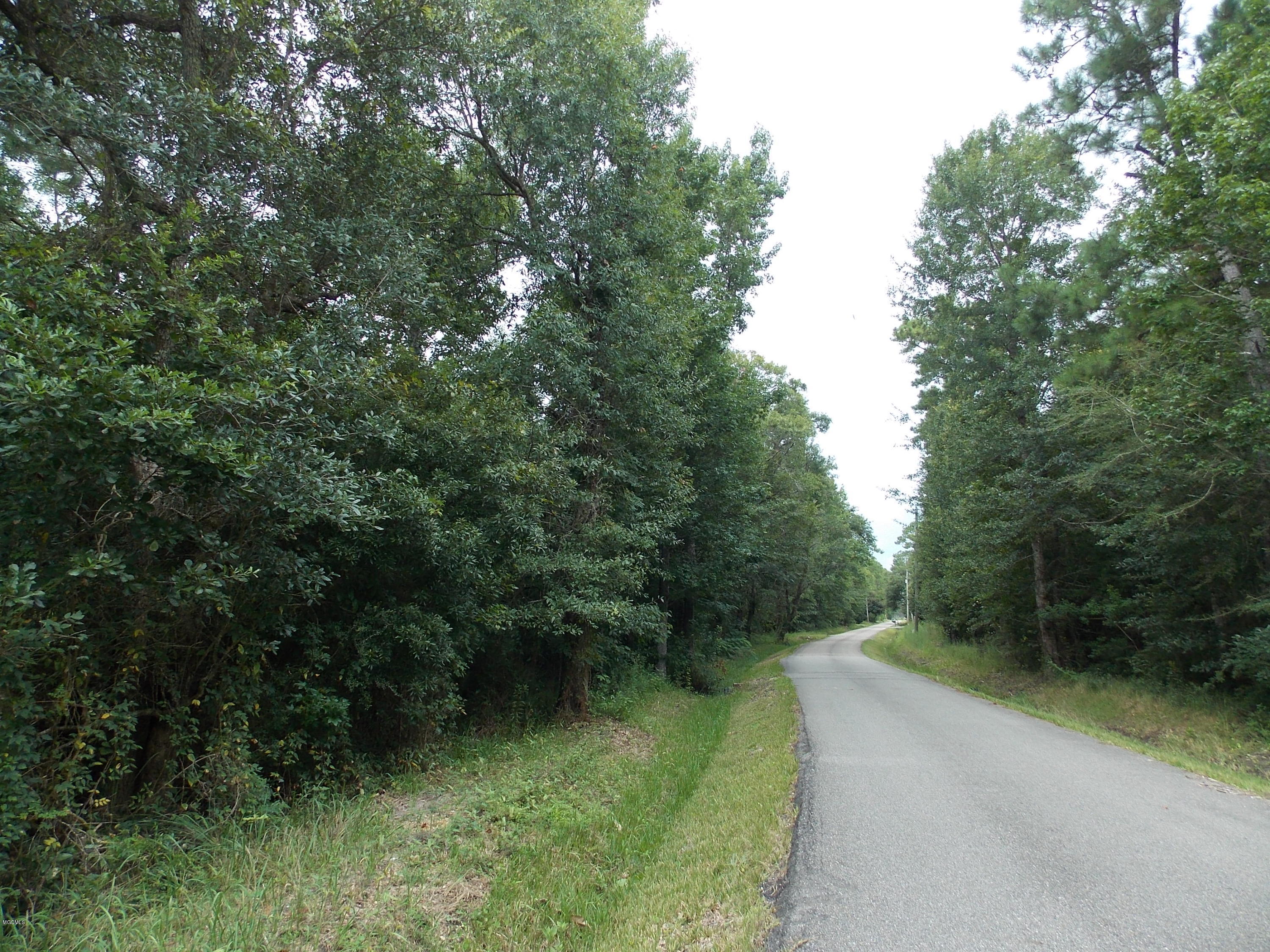 0 Viola Garcia Road Bay St. Louis, MS 39520 - Photo 1 of 4 DSCN7286