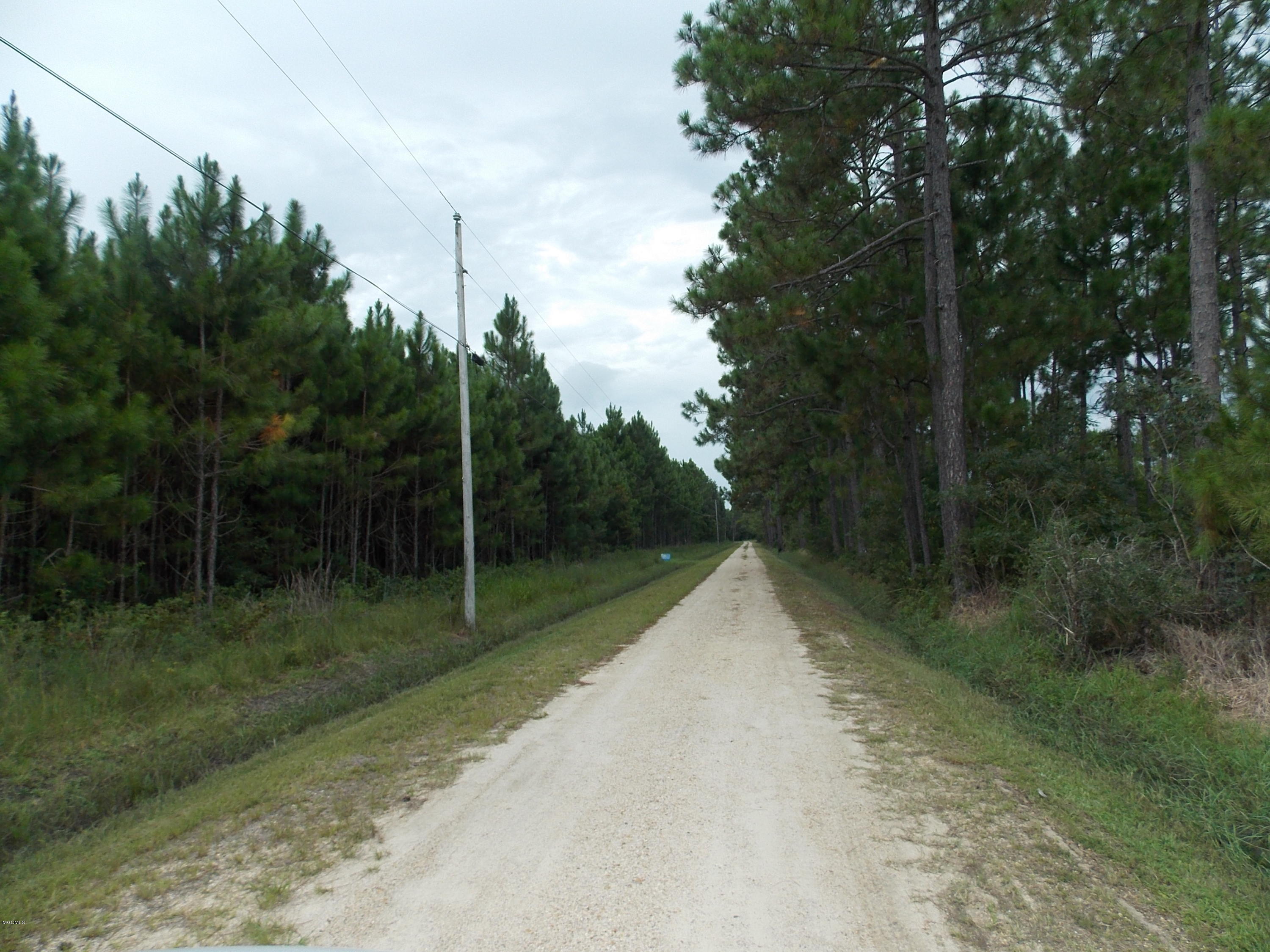 0 Viola Garcia Road Bay St. Louis, MS 39520 - Photo 2 of 4 DSCN7287