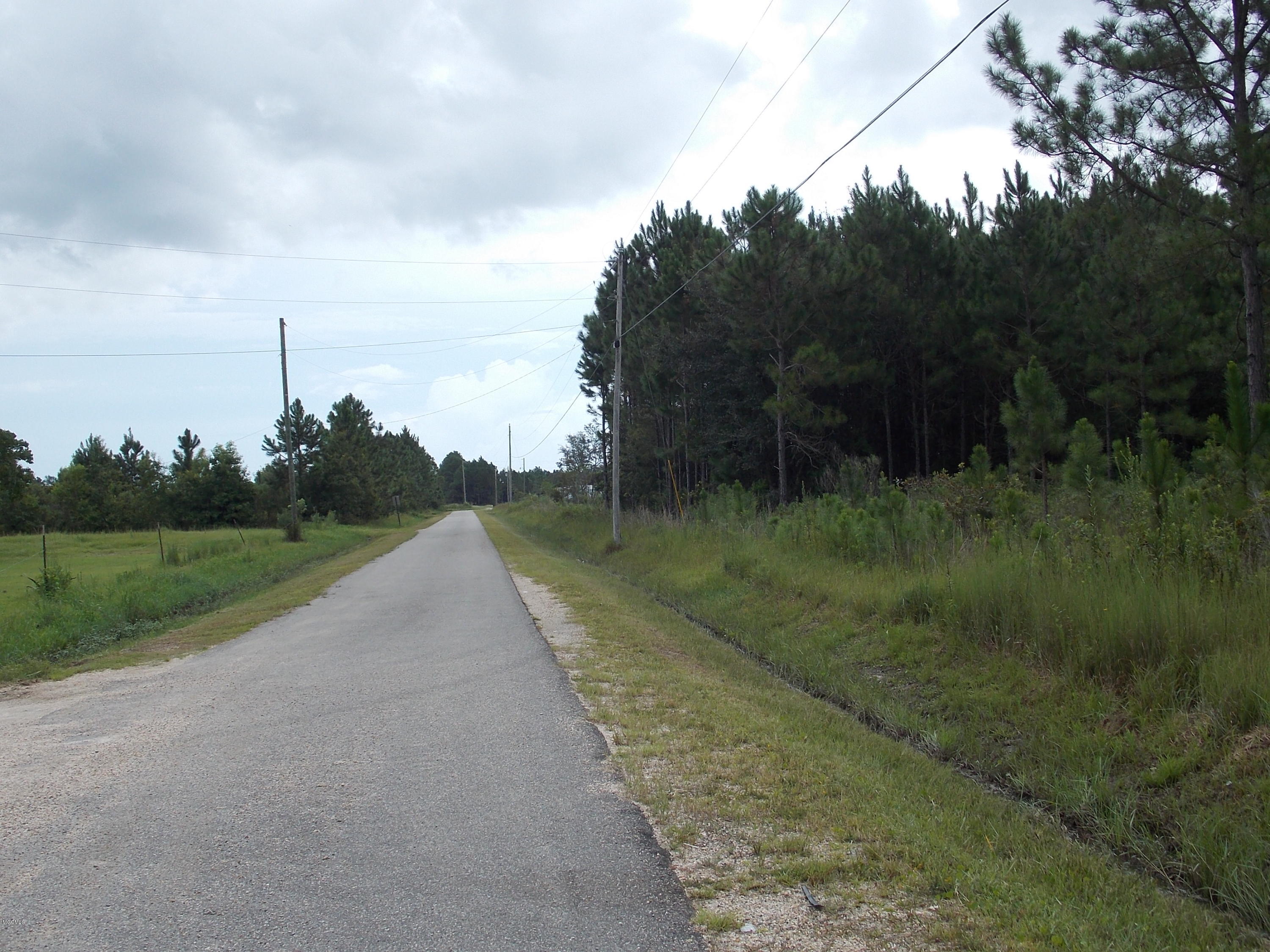 0 Viola Garcia Road Bay St. Louis, MS 39520 - Photo 4 of 4 DSCN7288