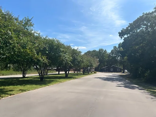 a view of a park with large trees