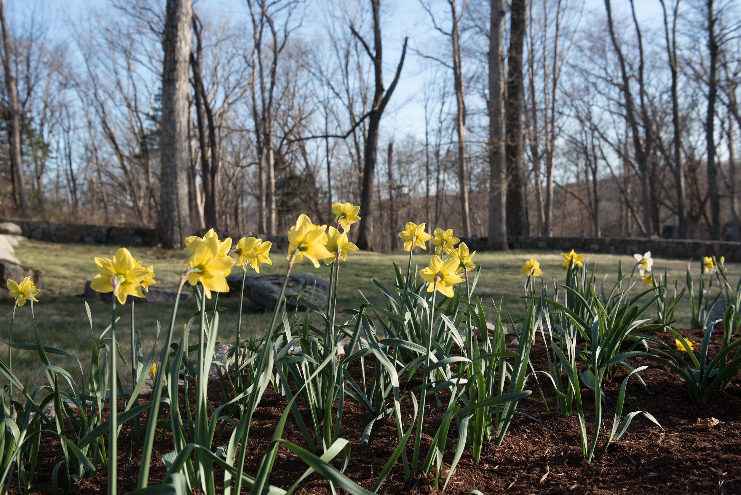 46 Benedict Hill Road New Canaan, CT 06840 - Photo 30 of 50 a view of a golf area with sitting area