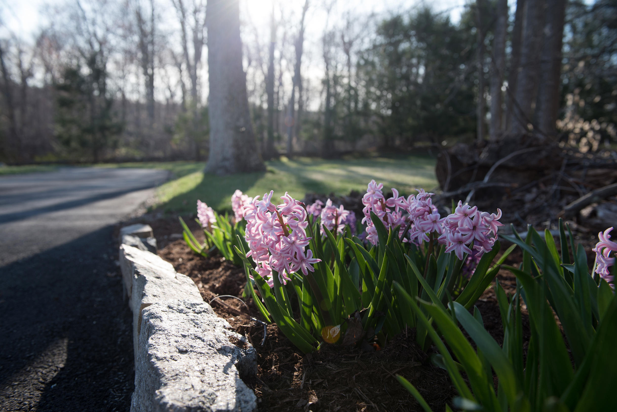 46 Benedict Hill Road New Canaan, CT 06840 - Photo 31 of 50