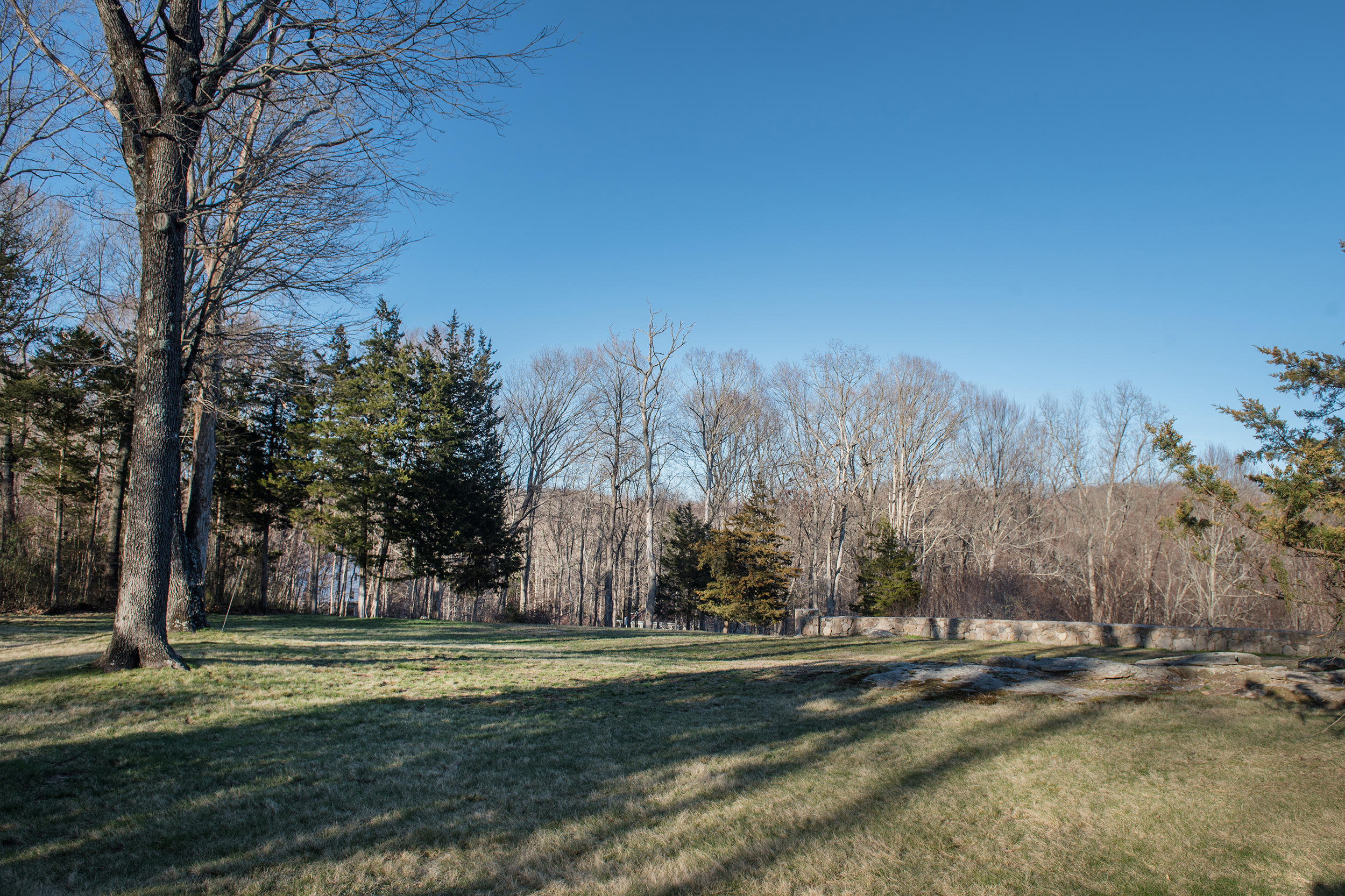 46 Benedict Hill Road New Canaan, CT 06840 - Photo 33 of 50 a view of a park that has large trees