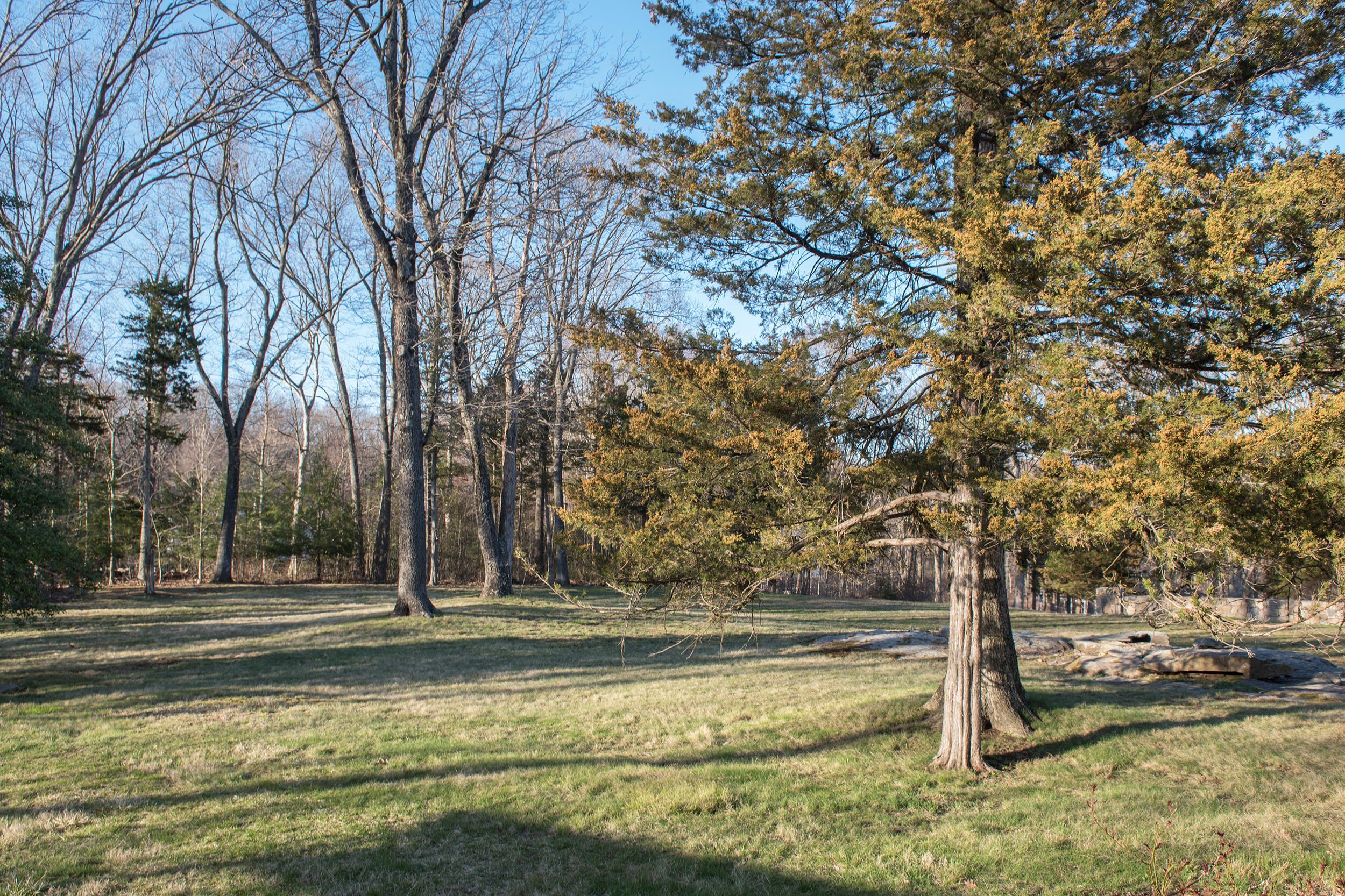 46 Benedict Hill Road New Canaan, CT 06840 - Photo 34 of 50 a view of a yard with large trees