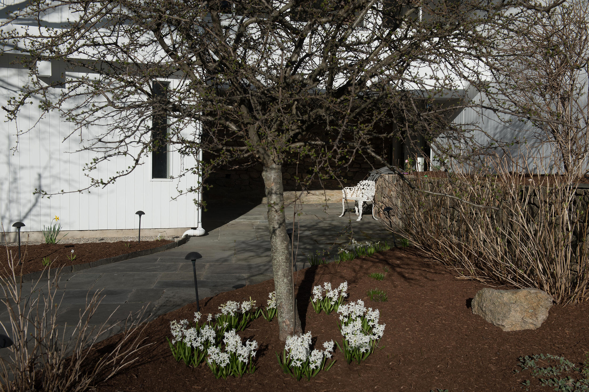 46 Benedict Hill Road New Canaan, CT 06840 - Photo 44 of 50 a view of a garden