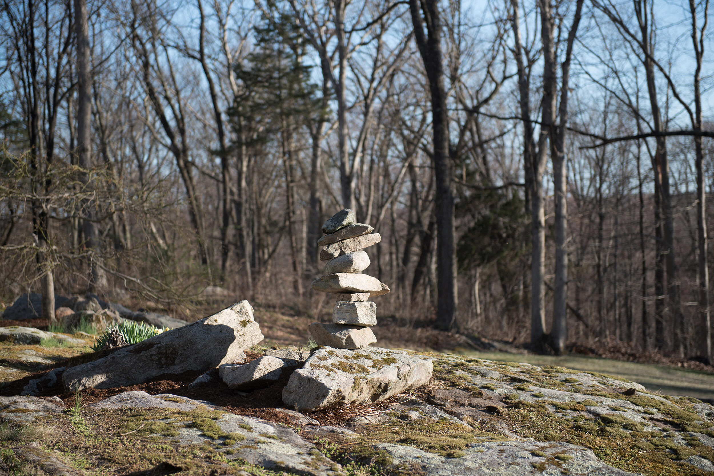 46 Benedict Hill Road New Canaan, CT 06840 - Photo 45 of 50 a view of a backyard with a large tree