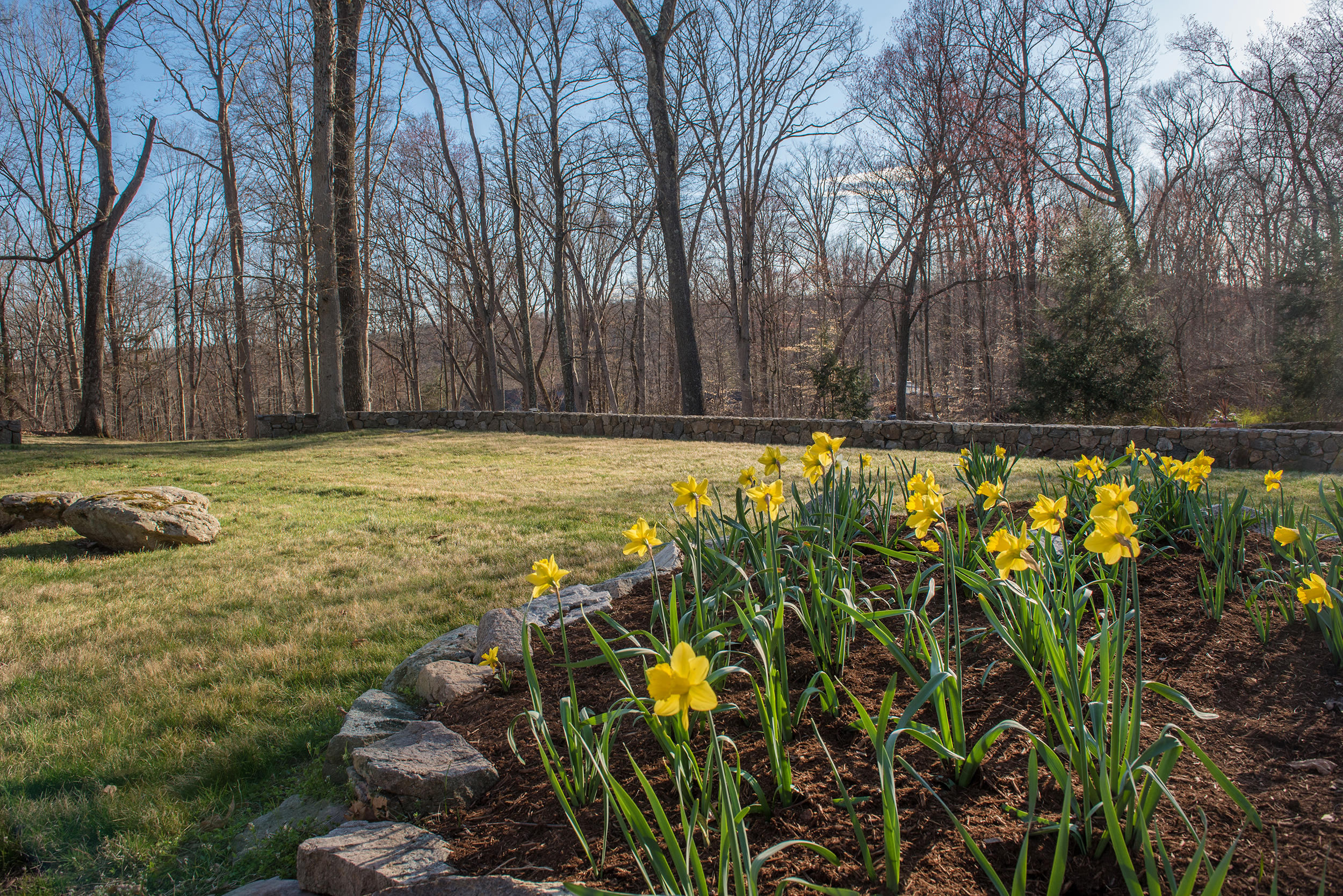 46 Benedict Hill Road New Canaan, CT 06840 - Photo 49 of 50 a view of a swimming pool and trees