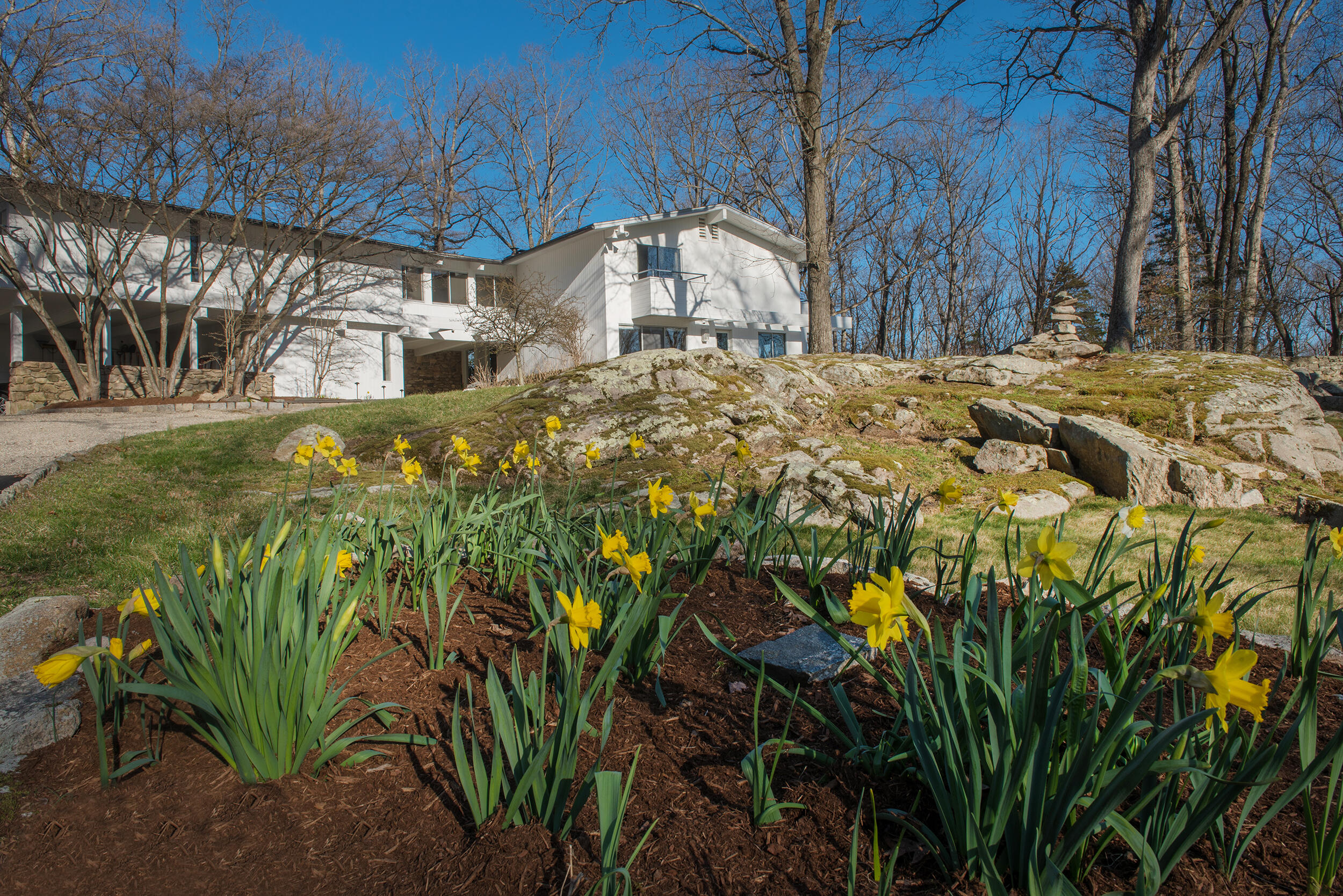 46 Benedict Hill Road New Canaan, CT 06840 - Photo 50 of 50 a view of a yard with plants and trees