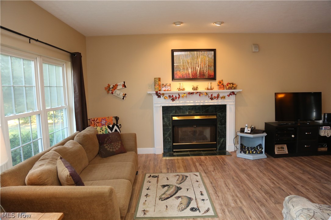 10834 Old Mill Road Spencer, OH 44275 - Photo 2 of 34 Family Room, Gas (Propane) Fireplace