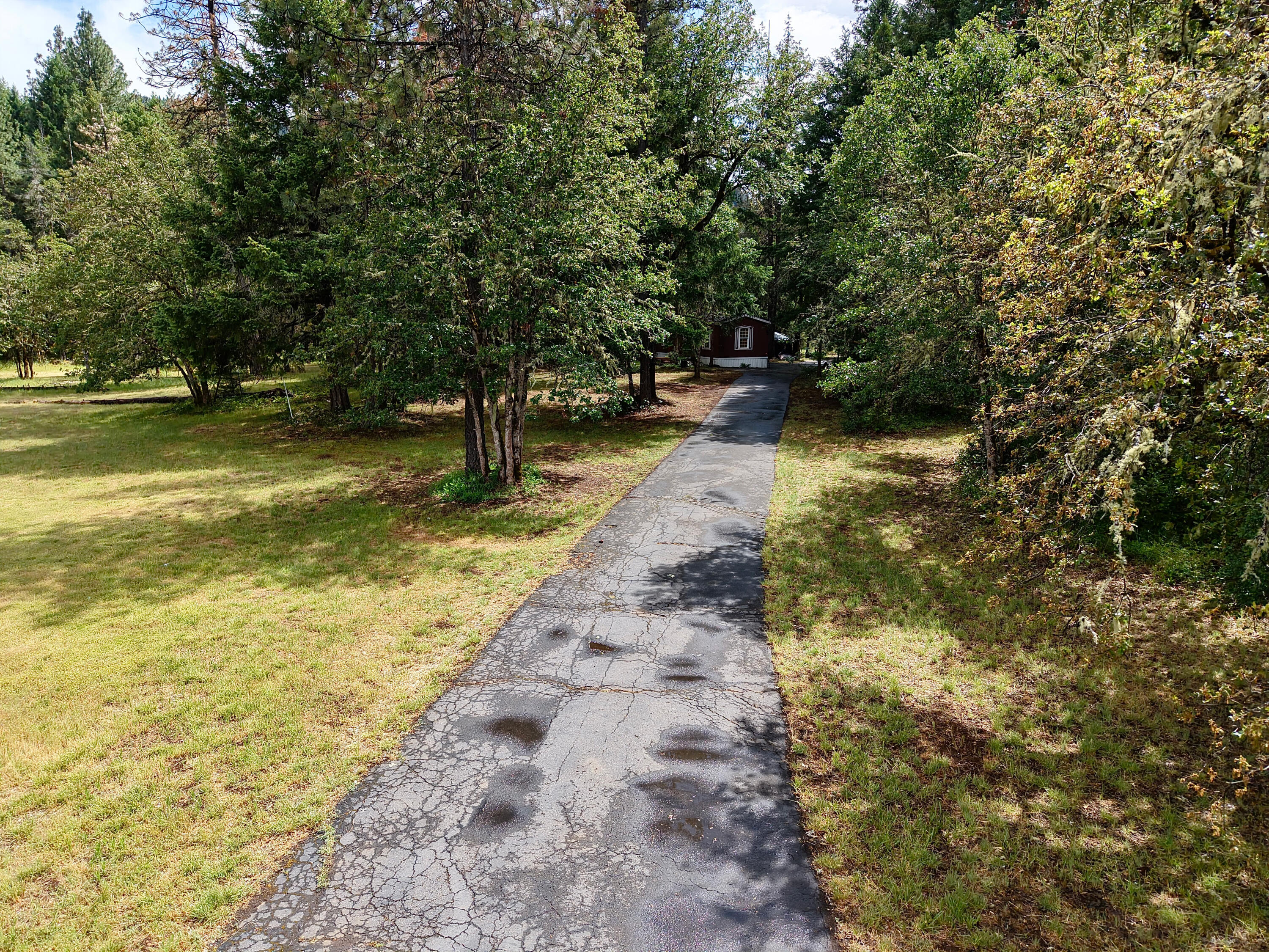 42256 Highway 62 Prospect, OR 97536 - Photo 35 of 48 a view of swimming pool with a yard