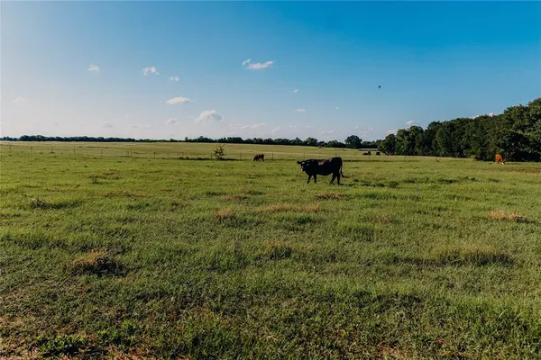 $485,000 | 1740 Highway 2247, Comanche, TX 76442
