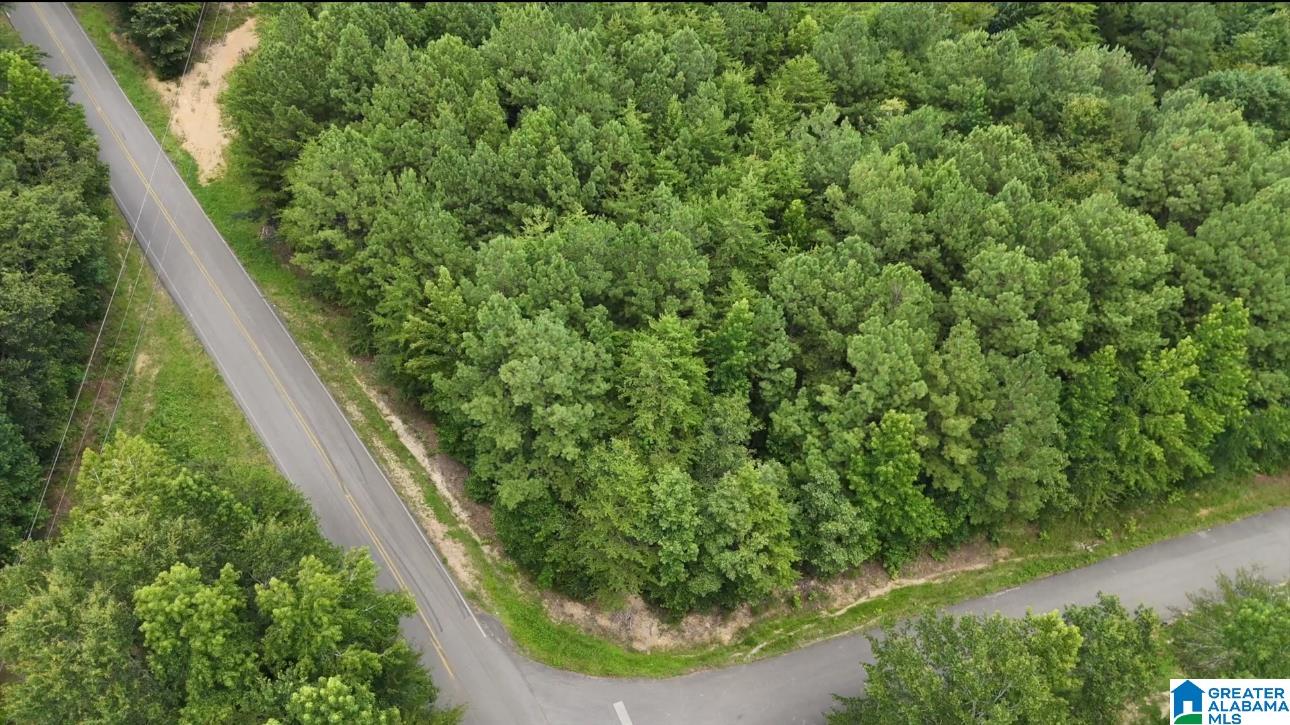 300 Buddy Vines Camp Road, Unit 3 Bessemer, AL 35023 - Photo 1 of 6