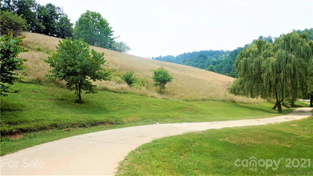817 Long Ridge Road Mars Hill, NC 28754 - Photo 3 of 32 Gallery Image 3