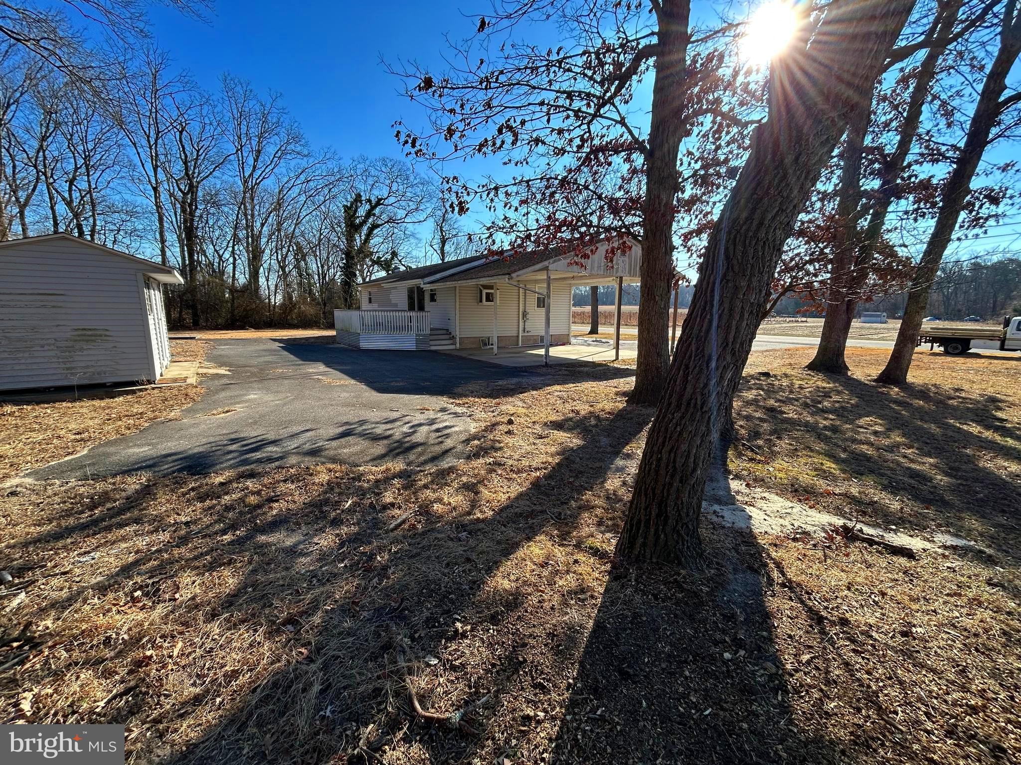 97 Sheppards Mill Road Bridgeton, NJ 08302 - Photo 6 of 27 a view of a yard with trees