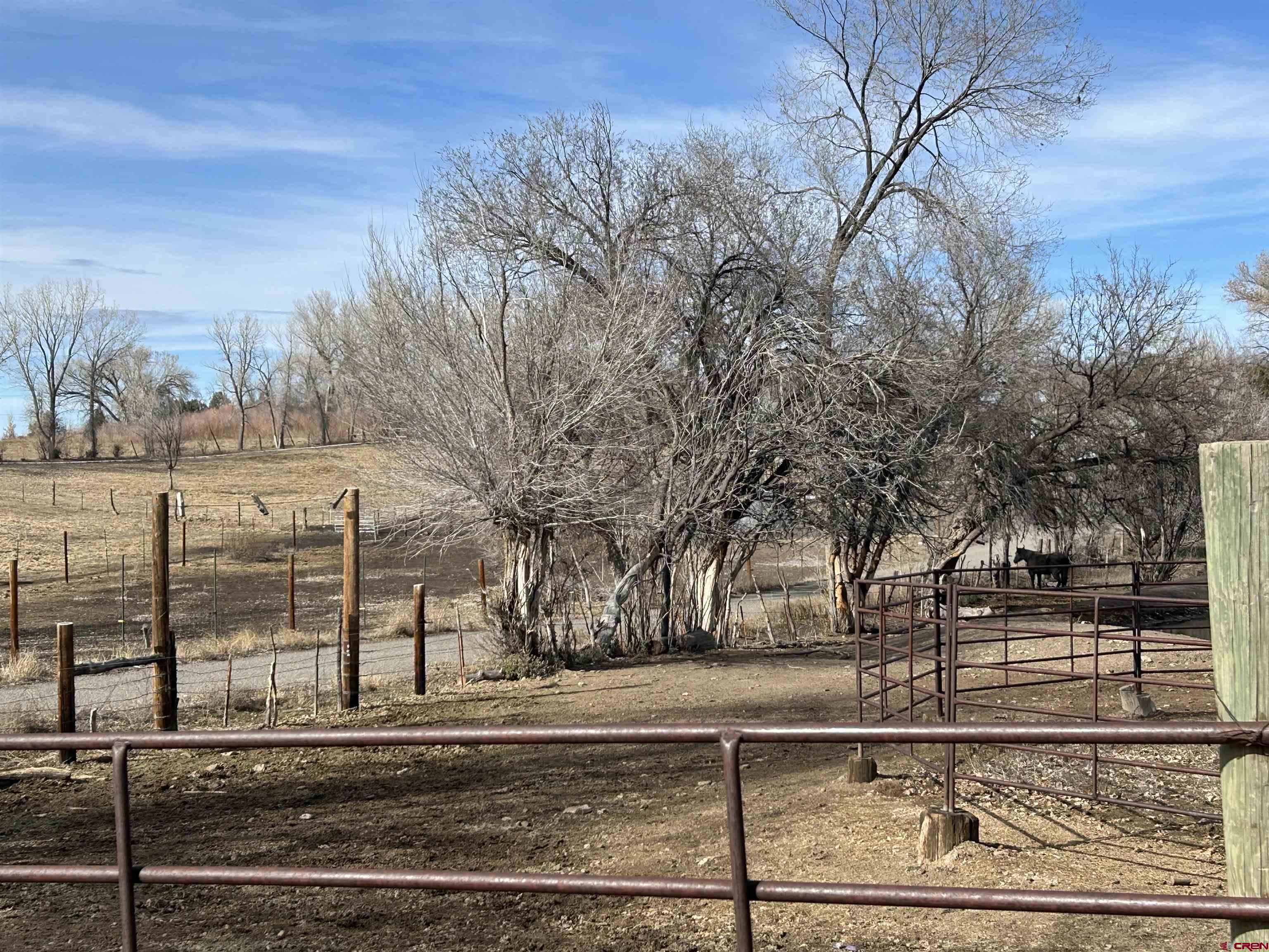 27701 BB Road Nucla, CO 81424 - Photo 2 of 29