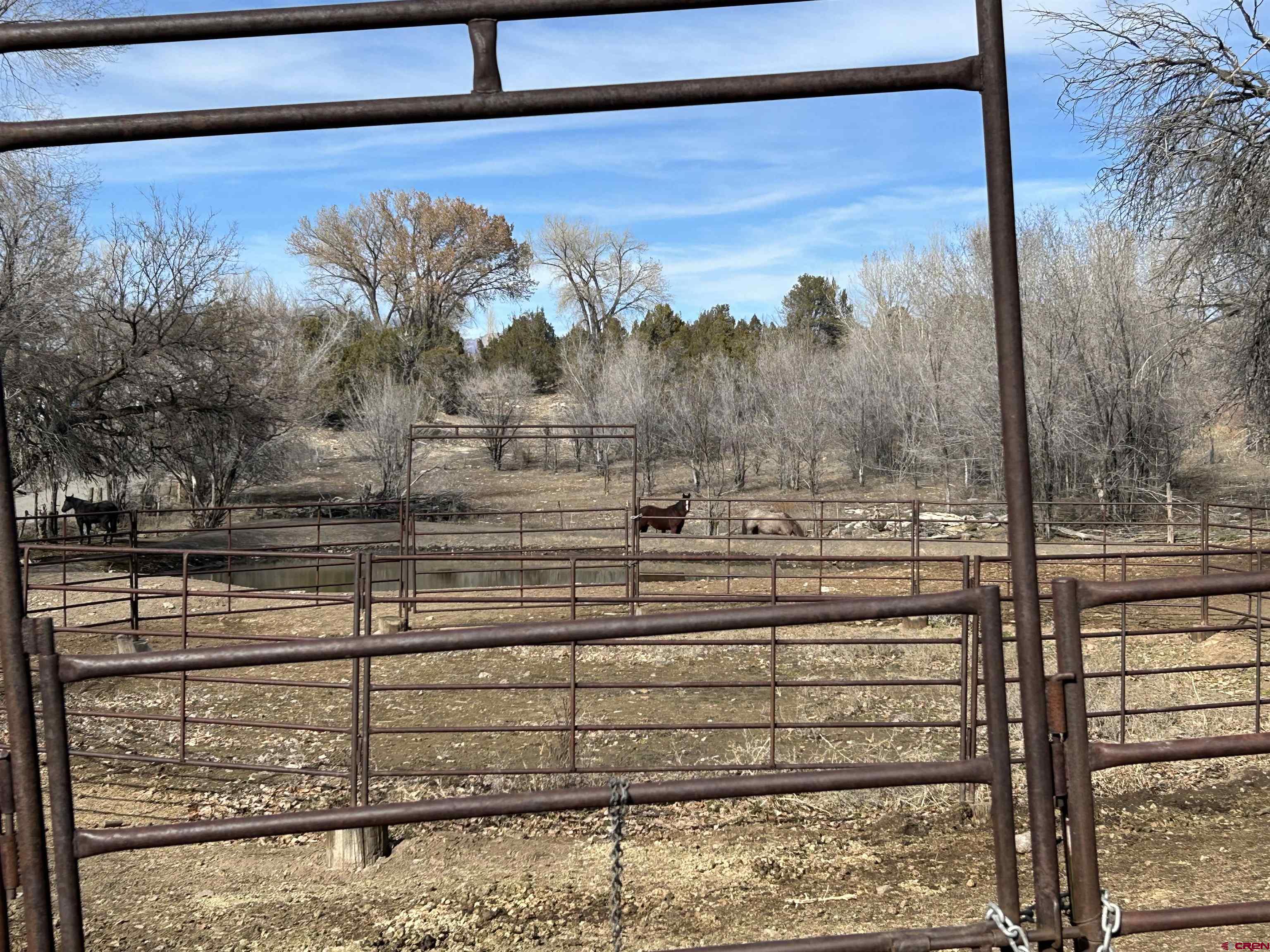 27701 BB Road Nucla, CO 81424 - Photo 22 of 29