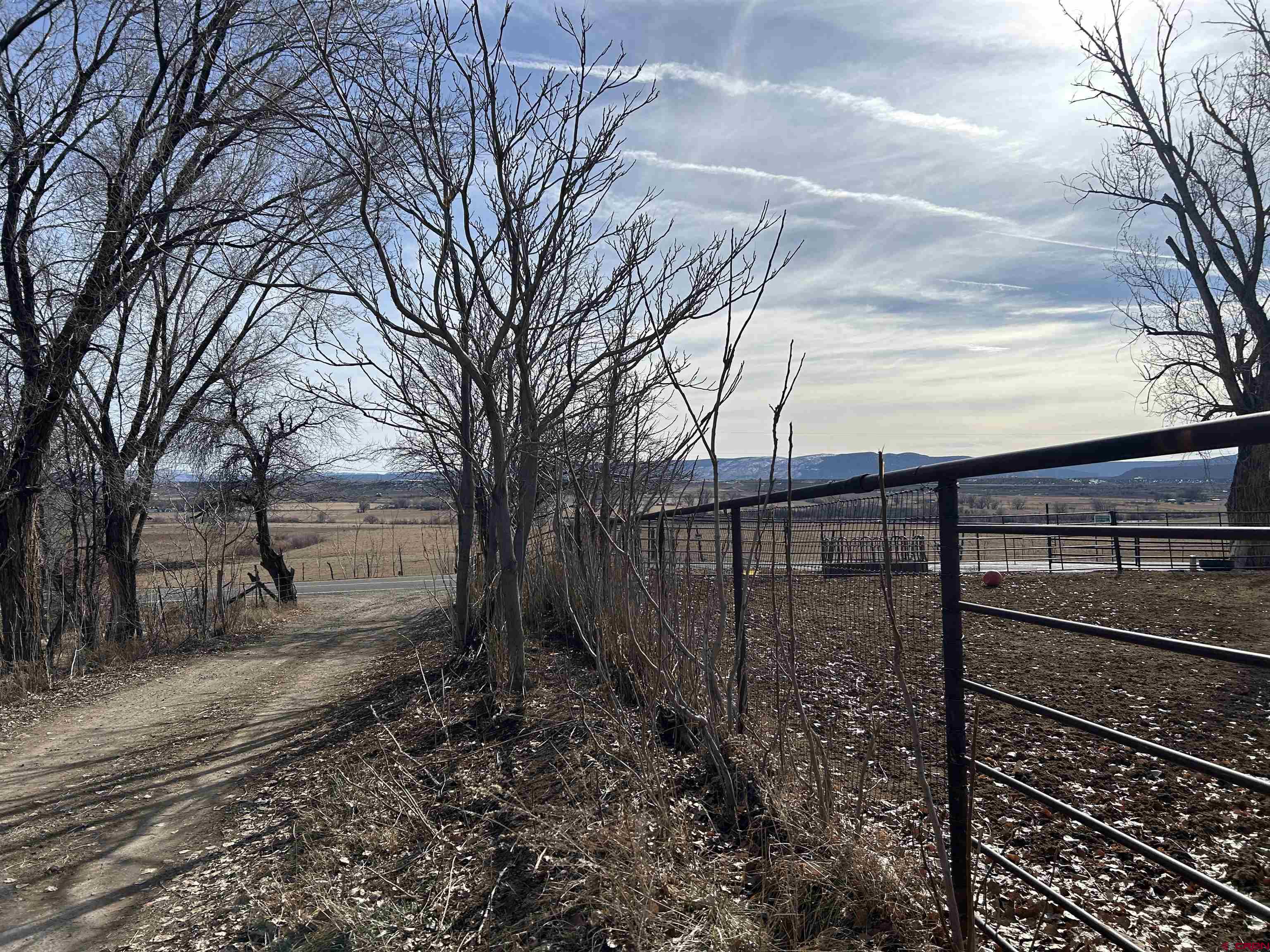 27701 BB Road Nucla, CO 81424 - Photo 4 of 29