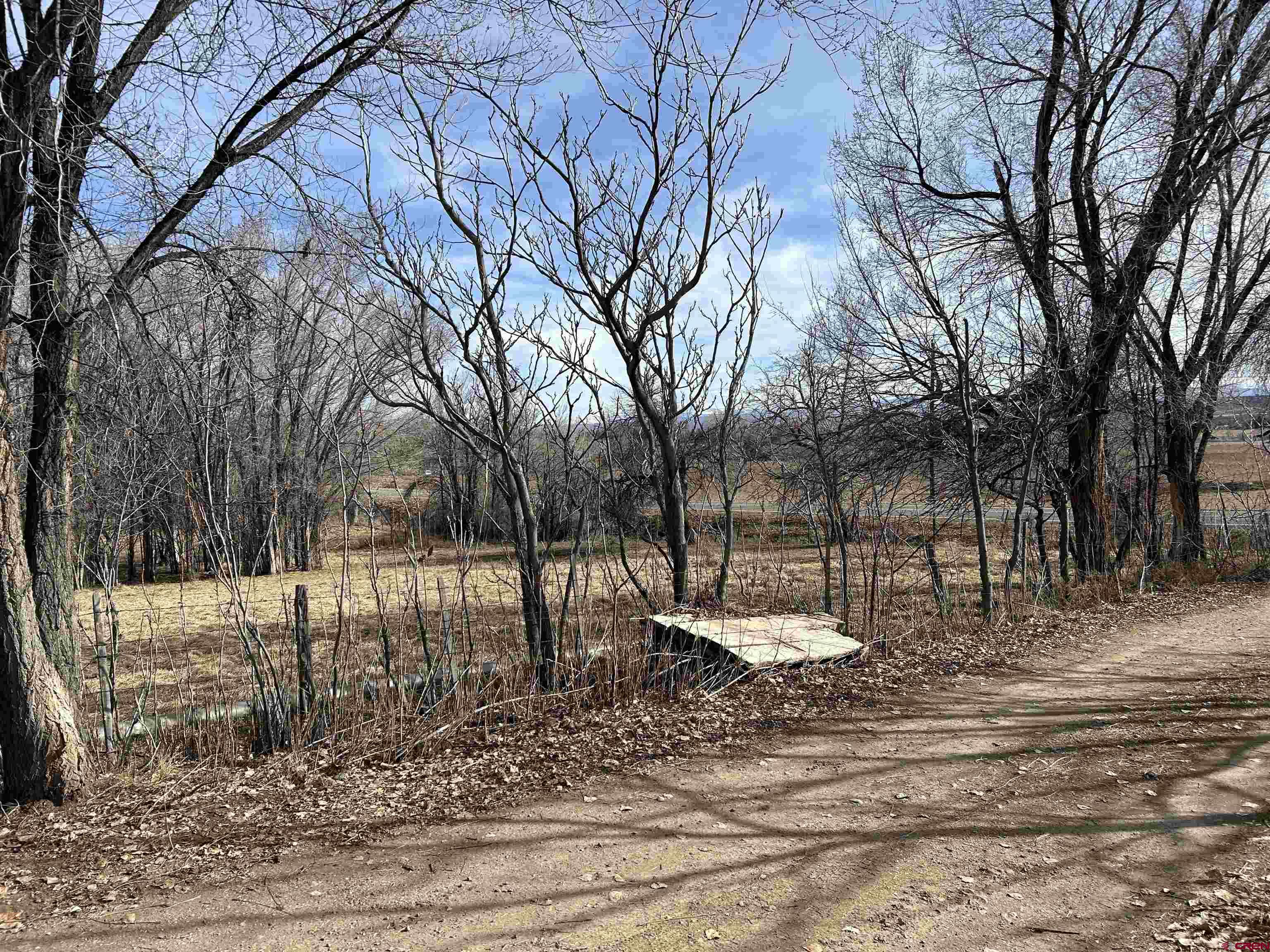 27701 BB Road Nucla, CO 81424 - Photo 6 of 29