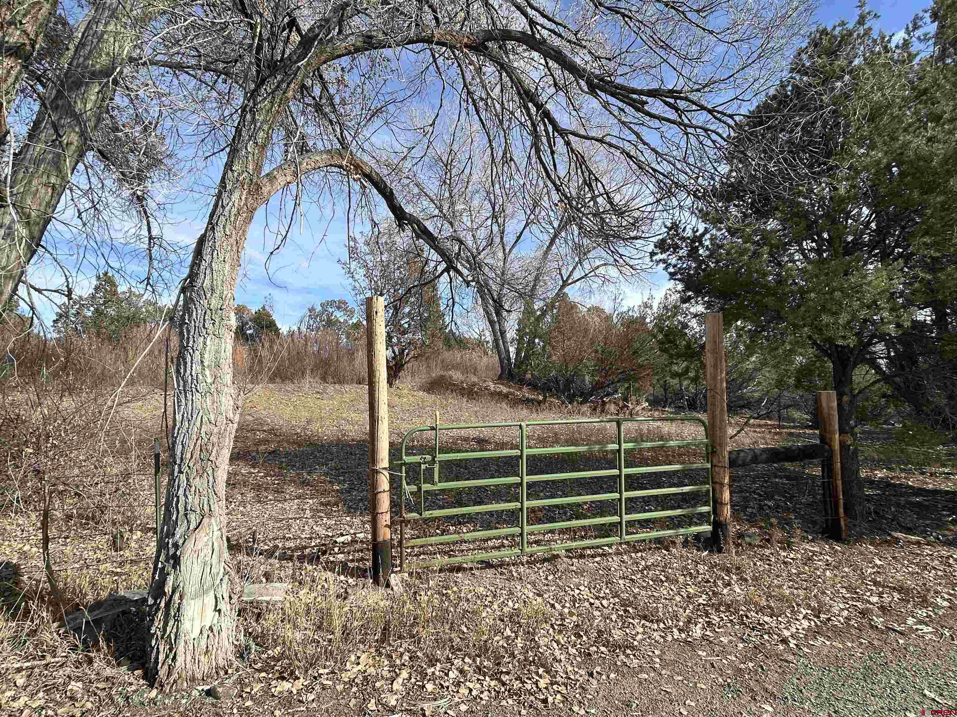 27701 BB Road Nucla, CO 81424 - Photo 7 of 29