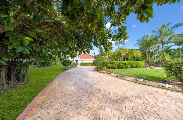 a view of a garden with a tree