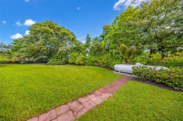 a view of a trees in a yard