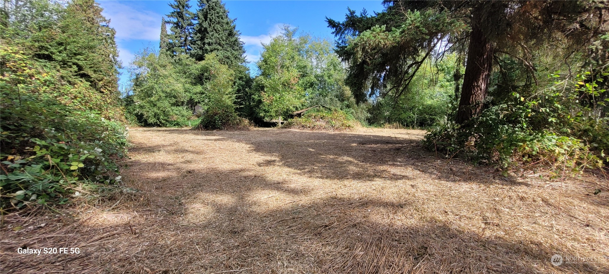20925 Royal Anne Road Bothell, WA 98021 - Photo 4 of 10 a view of a yard with plants and trees
