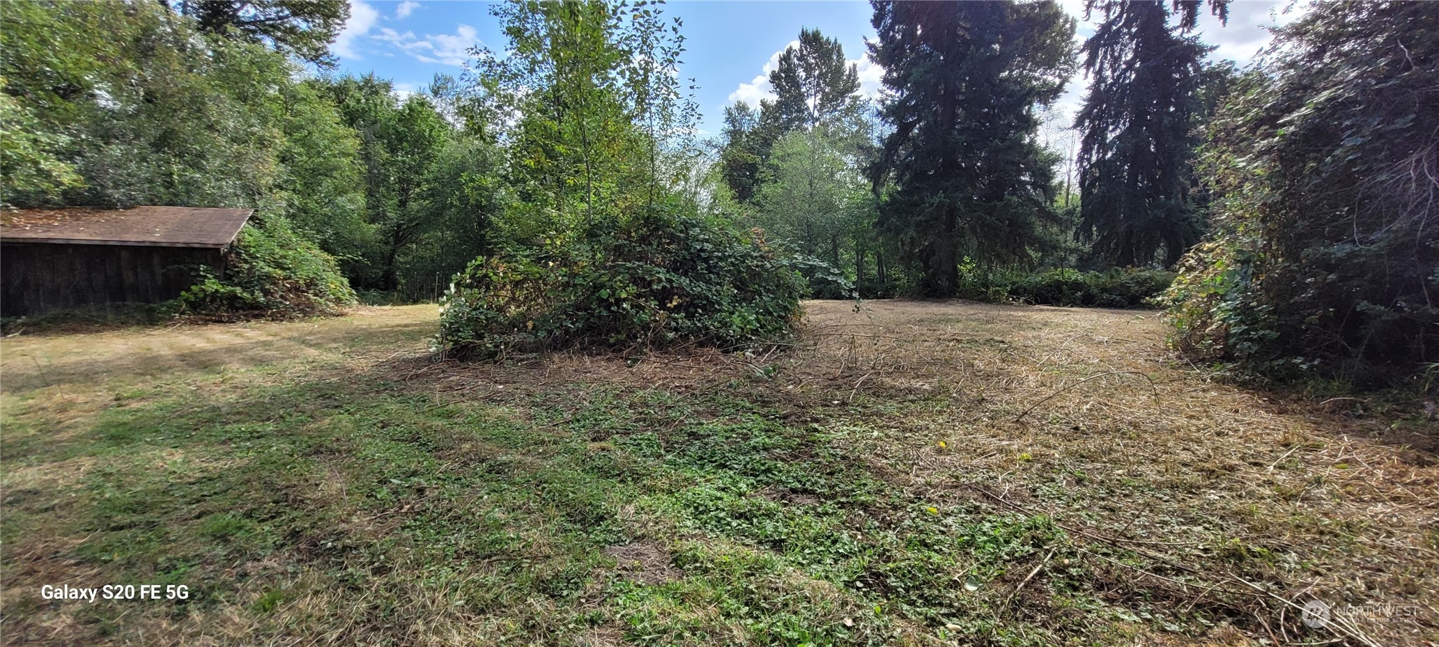 20925 Royal Anne Road Bothell, WA 98021 - Photo 5 of 10 a big yard with lots of green space