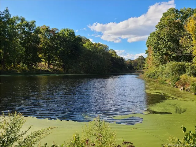 a view of a water pond with an outdoor space