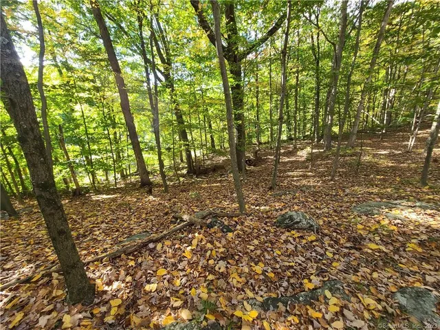 a view of yard with trees