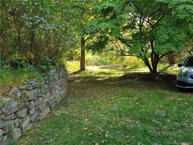 a view of a yard with plants and trees