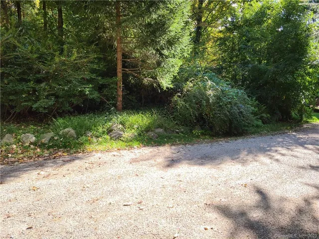a large room with trees in front of it