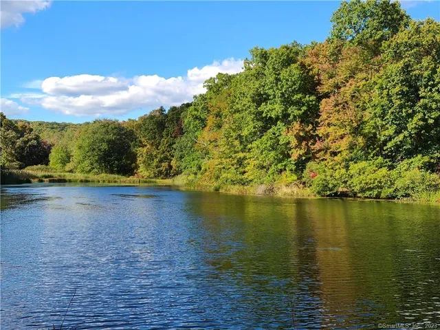 a view of an ocean from a yard