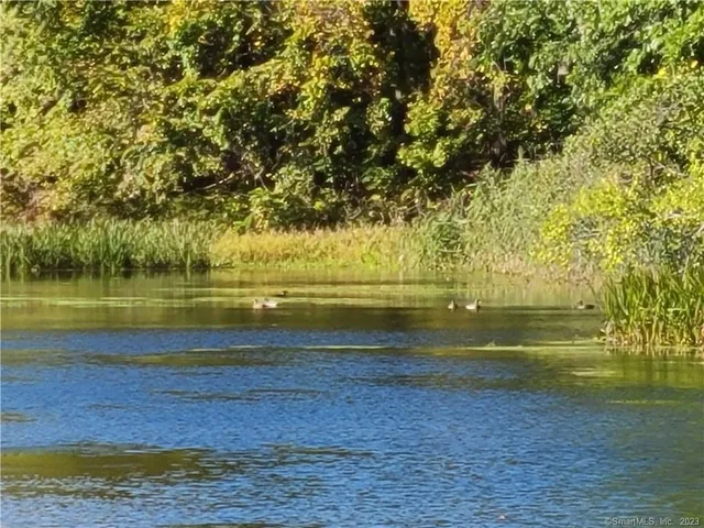 a view of a lake view