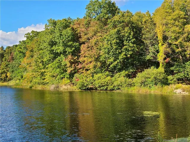 a view of lake and trees