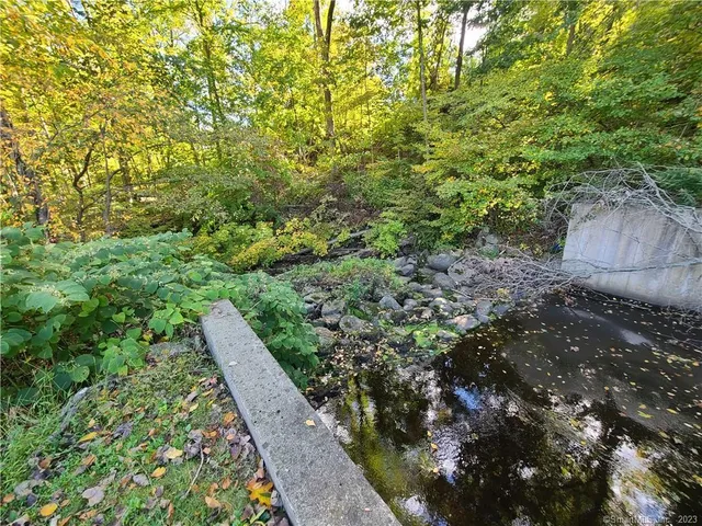 a view of a yard with plants and wooden fence