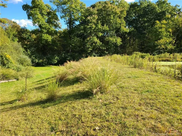 a view of a field with a tree in the background