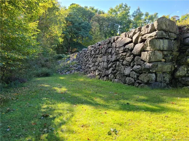 a view of a yard with large trees