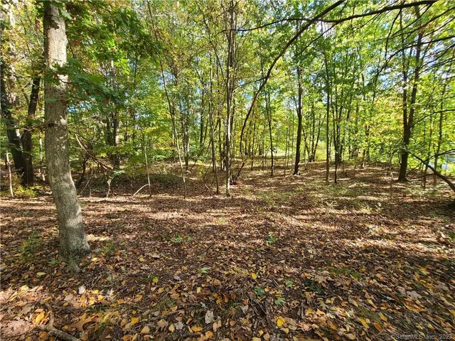 a backyard of a house with a trees