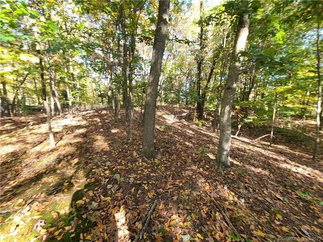 a view of a yard with plants and trees