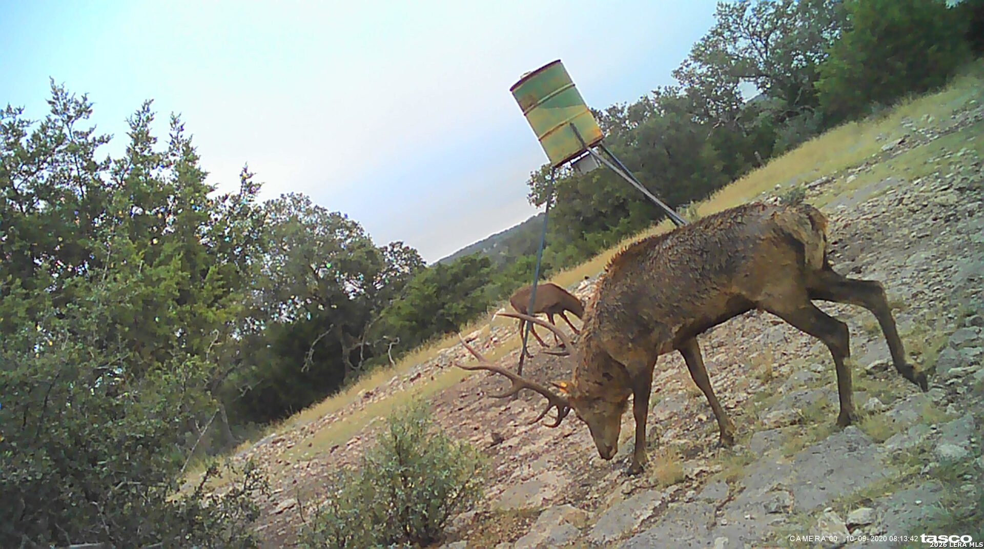 2 Texana Oaks Ranch Hway Rocksprings, TX 78880 - Photo 3 of 14