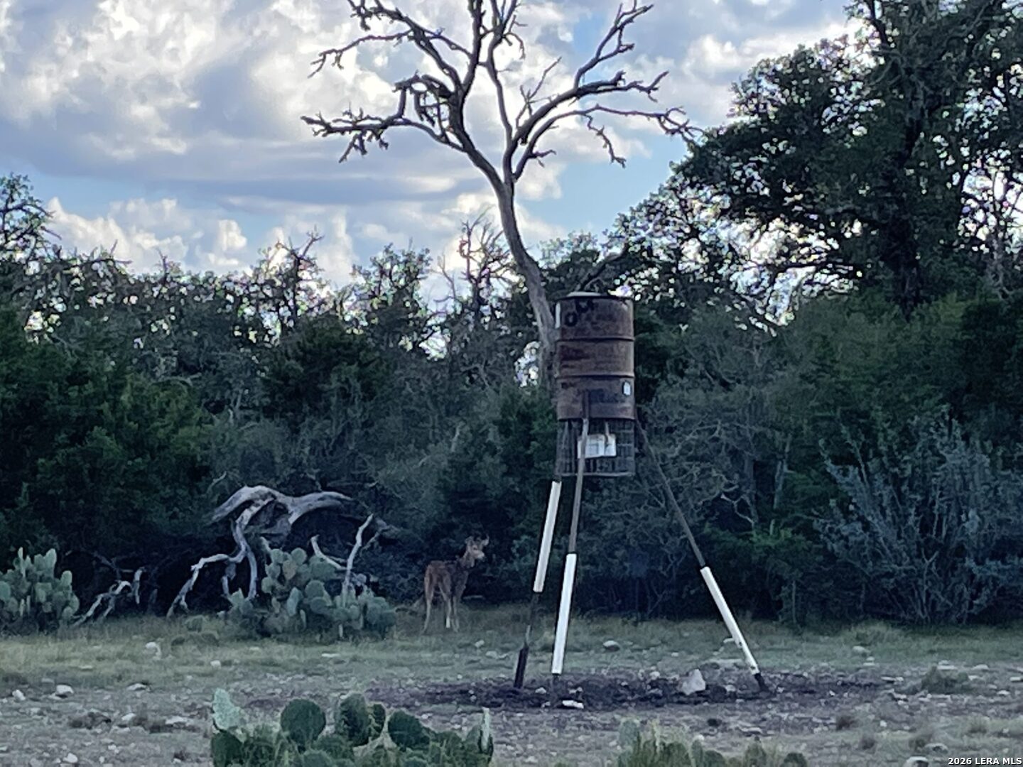 2 Texana Oaks Ranch Hway Rocksprings, TX 78880 - Photo 7 of 14