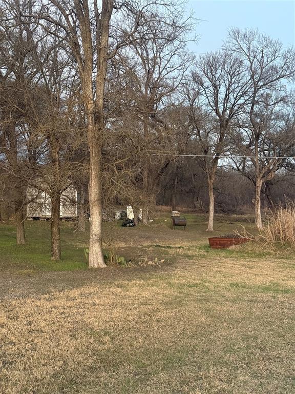1179 Washington Lane Waco, TX 76708 - Photo 3 of 4 a view of a yard with a tree