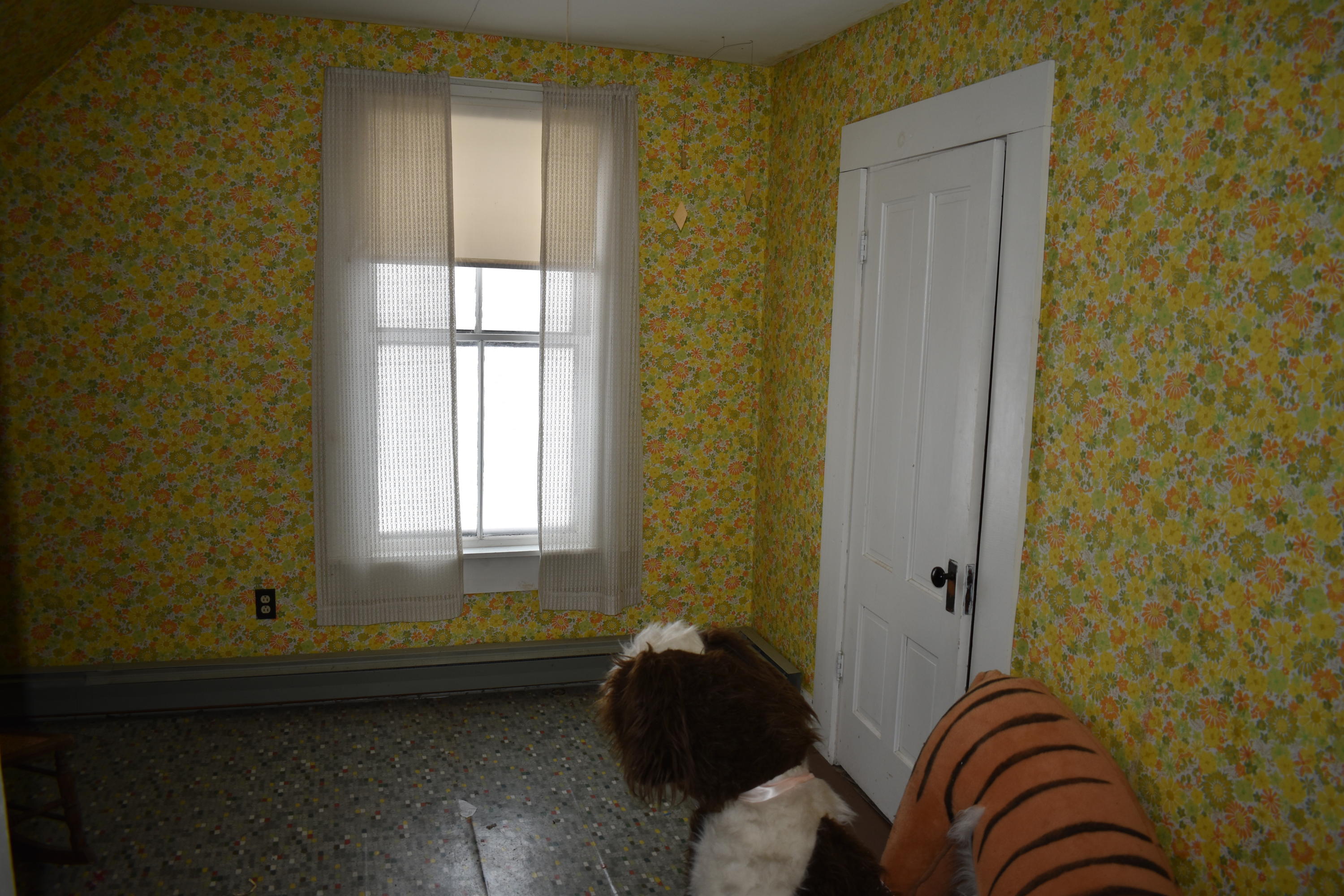 197 Lincoln Road Enfield, ME 04493 - Photo 26 of 38 DSC_0840