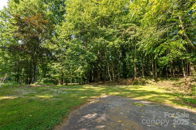 a view of a park with large trees