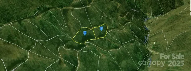 a view of a plant in a garden