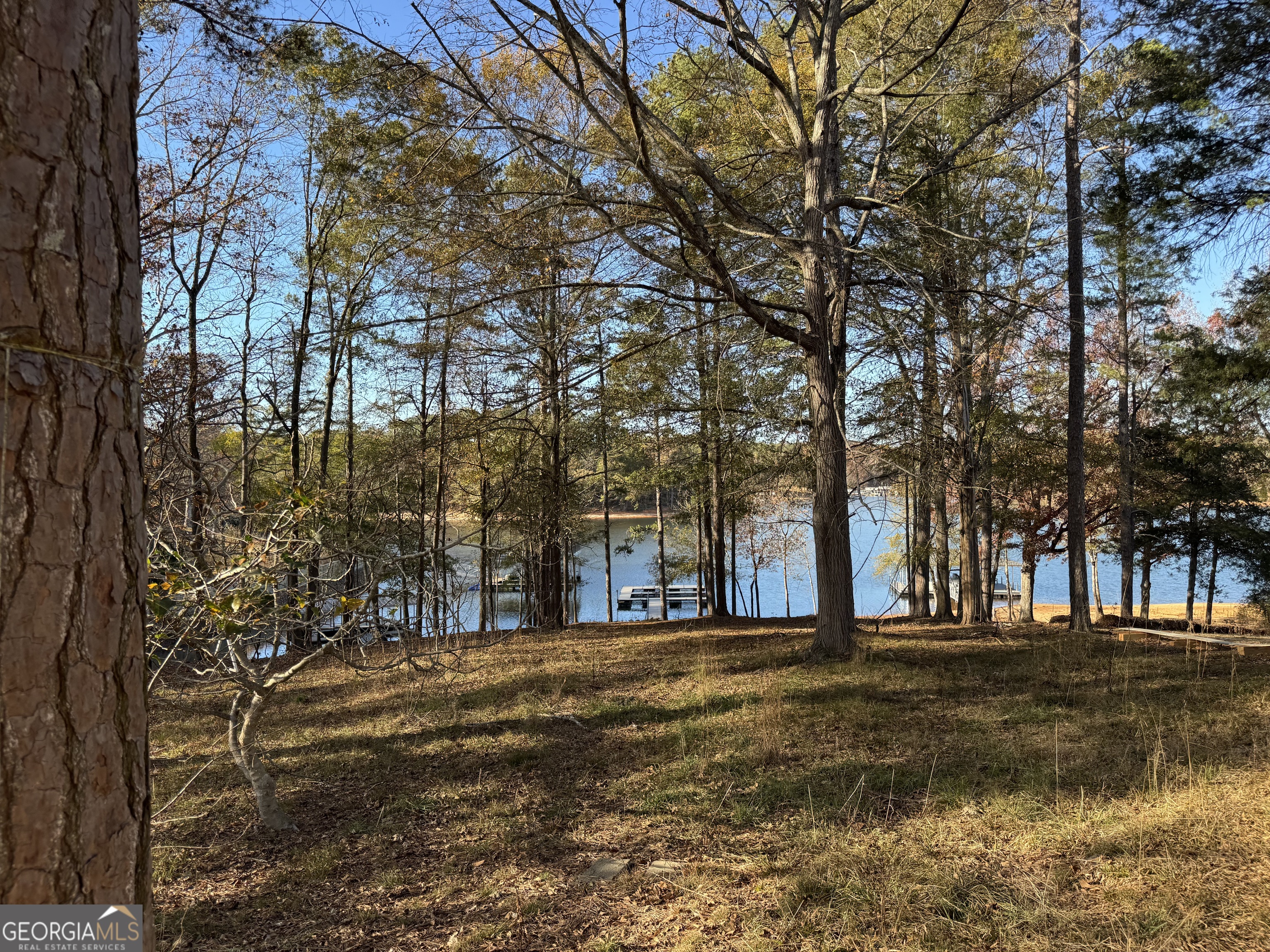 33 Flint Road Hartwell, GA 30643 - Photo 2 of 2