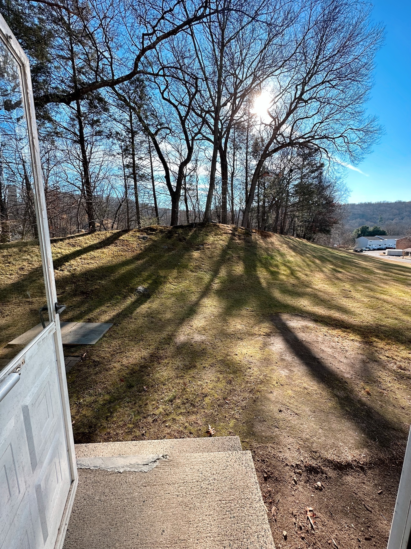 1081 New Haven Road, Unit 4B Naugatuck, CT 06770 - Photo 7 of 18 a view of yard with trees