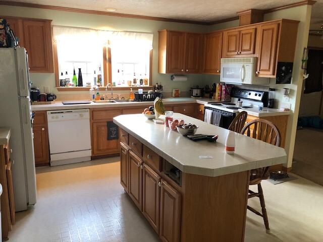 8848 Bankers Road Reading, MI 49274 - Photo 5 of 34 IMG_7039