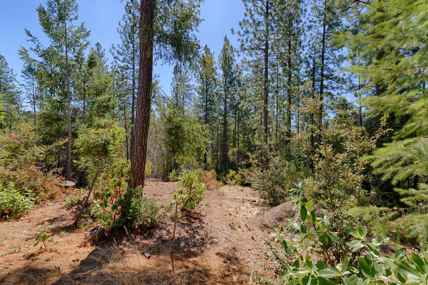5540 Pine Ridge Road Foresthill, CA 95631 - Photo 19 of 30 Gallery Image 19