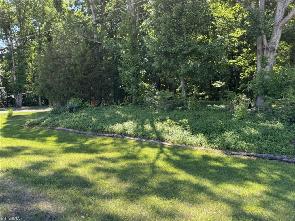 5120 Dock Davis Road Clemmons, NC 27012 - Photo 4 of 13